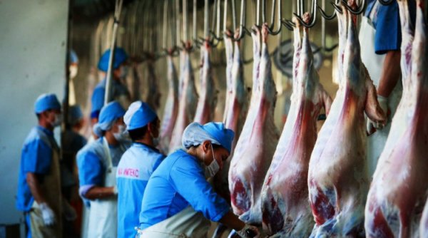 Их хэмжээгээр тээвэрлэсэн, сэжигтэй байж болзошгүй махны тухай мэдээллийг Төрийн байгууллагуудад өгч болно