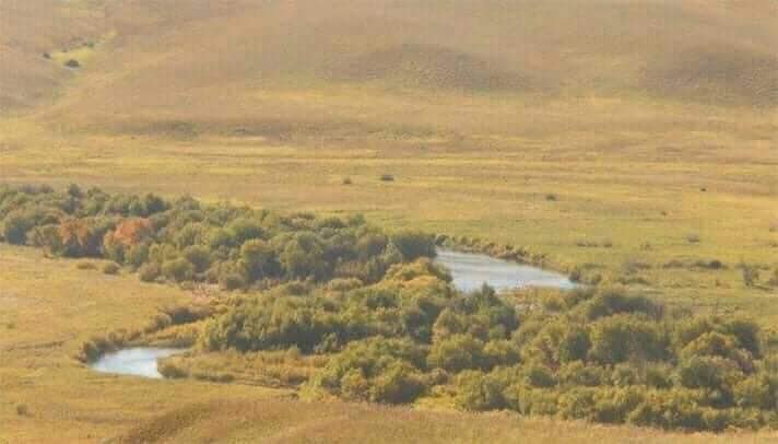 Халх нөмрөгийн сав газраас Монгол хүнийг гөлөг мэт хөөж байна