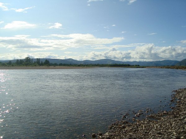 СОГТУУРУУЛАХ УНДААНЫ ЗҮЙЛ ХЭРЭГЛЭСЭН ҮЕДЭЭ ГОЛЫН УСАНД ОРОХГҮЙ БАЙХЫГ АНХААРУУЛЖ БАЙНА