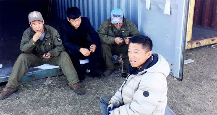 Монголд өнөөдрийн байдлаар 13248 хятад иргэн оршин сууж байна