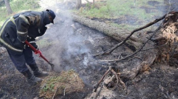 Асаасан шүдэнз бүр аюул дагуулахыг анхааруулъя