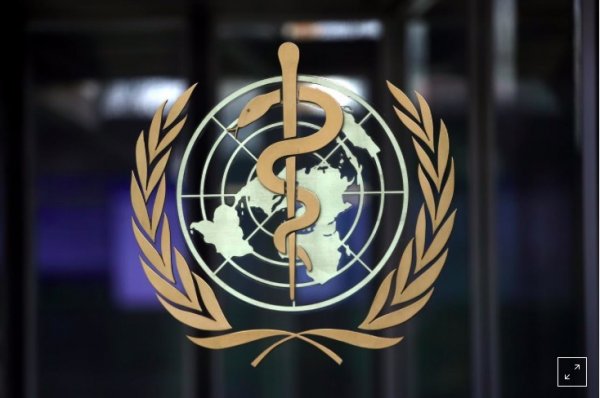 ДЭМБ: БНСУ, БНХАУ-д халдварын шинэ тохиолдлууд бүртгэгдсэнд санаа зовниж байна