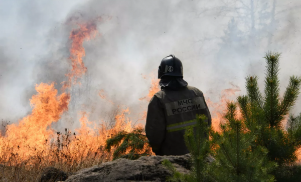 ОХУ-д 13 мянга гаруй га талбайг хамарсан ойн түймэр асаж байна