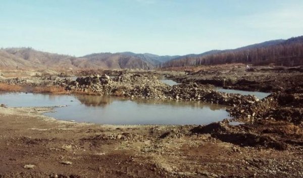 Тогтоол усанд 25 настай залуу живж амиа алджээ