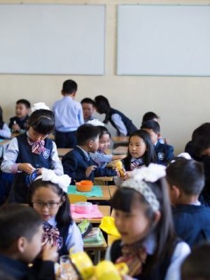 Сурагчдын амралтыг ирэх сарын 1-нээс амраах шийдвэр гараагүй, УОК эцэслэн шийднэ