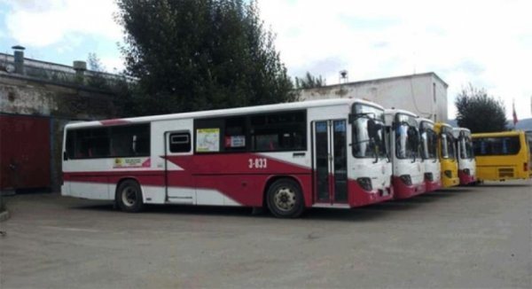 Нийслэлийн зорчигч тээврийн нэгтгэлийн жолооч нар хайхрамжгүй байдлаасаа болж нэгнийхээ аминд хүрлээ