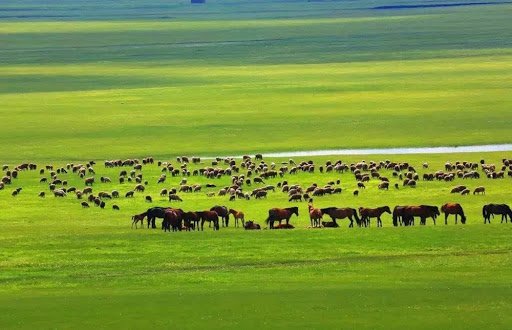 ТАЛЫН МАЛЧИД МАЛЫН БУЯНААР БАЯЖНА