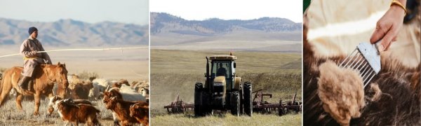 Хөдөө аж ахуйг дэмжих 500 тэрбумын зээлийг арилжааны банкаар олгоно