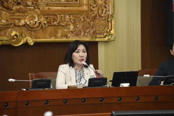 Эрүүл мэндийн даатгалын тухай хуулийн төслийг буцаан татлаа