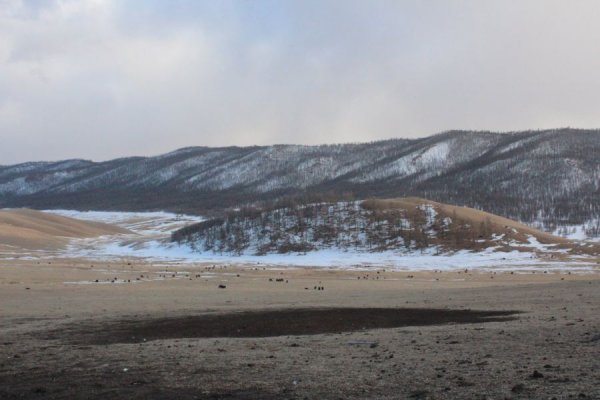 Хөвсгөл, Архангай аймагт халдварын тоо эрс нэмэгдэж байна