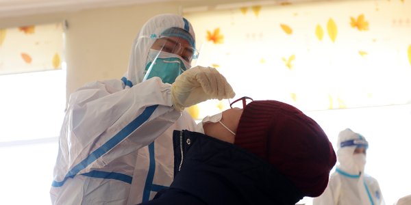 PCR шинжилгээний зургаан цэг ажиллаж байна