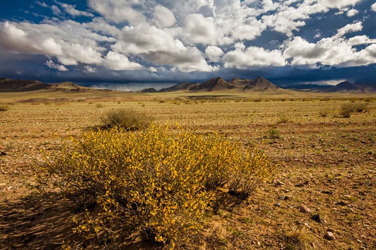 Цаг агаар: Ойрын өдрүүдэд ихэнх нутгаар хур тундас орохгүй, дулаан байна