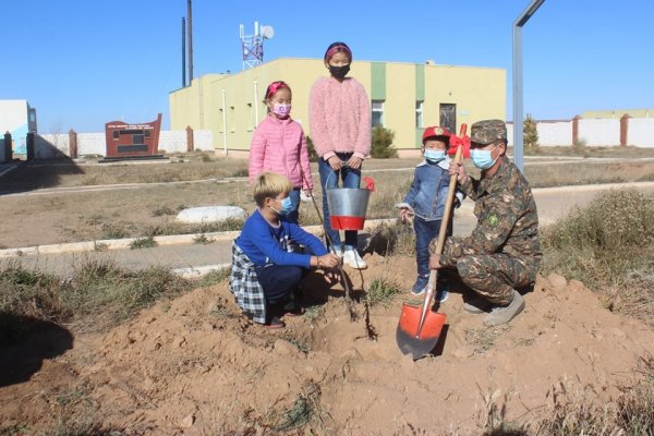 Говь цөлийн бүсэд жимсний мод тариалжээ