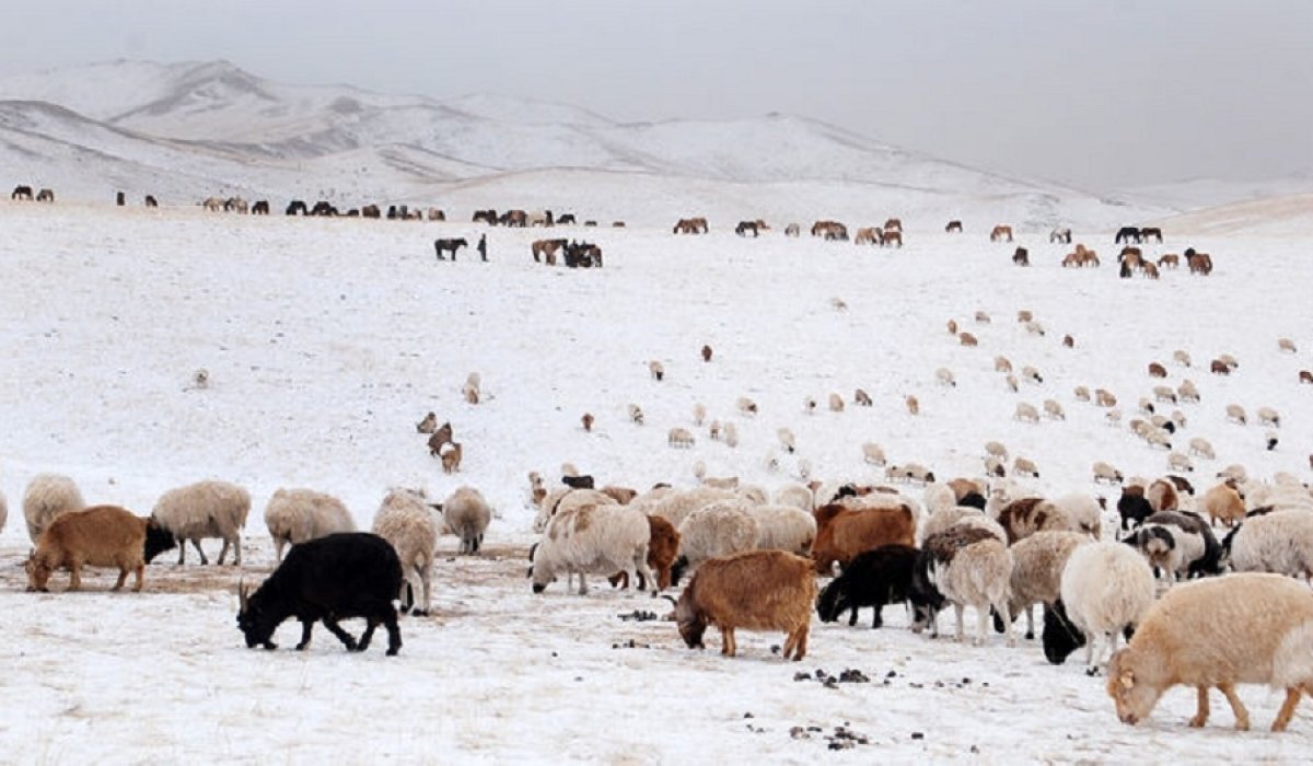 Хүйтний эрч бага зэрэг суларна