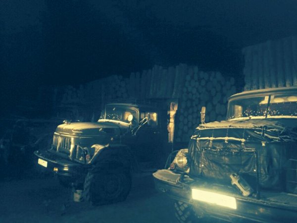 БОАЖ-ийн сайд Д.Оюунхорол модны хулгайчдад мод бэлтгэхийг үүрэгджээ