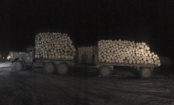 БОАЖ-ийн сайд Д.Оюунхорол модны хулгайчдад мод бэлтгэхийг үүрэгджээ