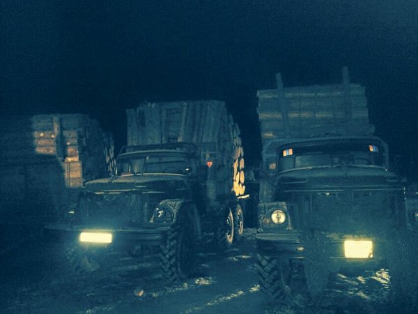 БОАЖ-ийн сайд Д.Оюунхорол модны хулгайчдад мод бэлтгэхийг үүрэгджээ