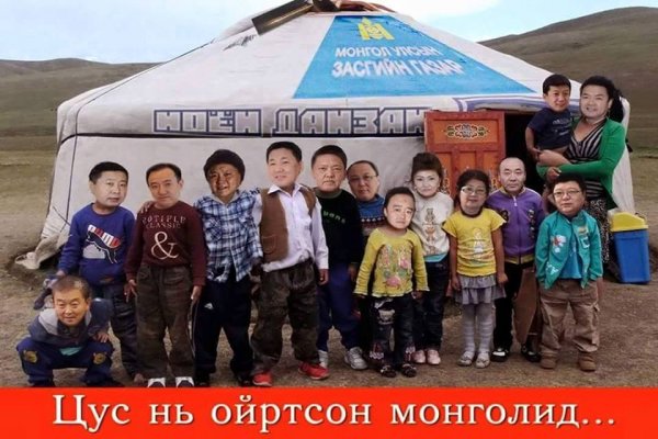 Улс төрийн шог фото