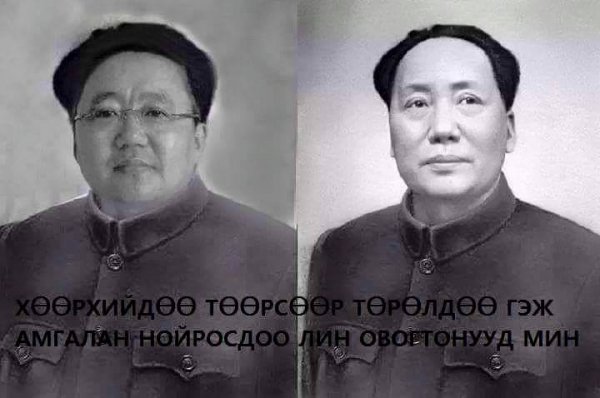 Улс төрийн шог фото