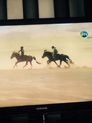 Дэд сайд Ганзоригийн Тэмүүлэнгийн хээр азарга түрүүллээ 