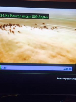 Дэд сайд Ганзоригийн Тэмүүлэнгийн хээр азарга түрүүллээ 