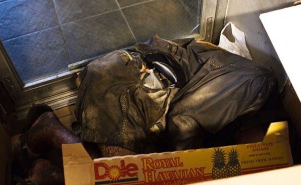  Аавыгаа олсон гайхалтай түүх