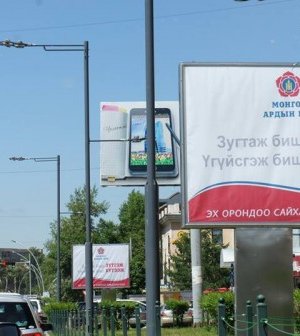 Сонгууль – 2012 /зурагт самбарын фото/