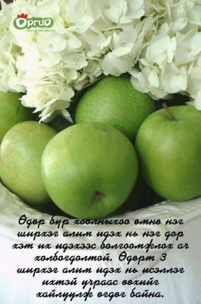 ХЭРЭГТЭЙ 1000 ЗӨВЛӨГӨӨ