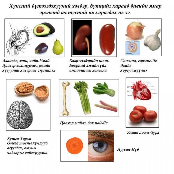 ХЭРЭГТЭЙ 1000 ЗӨВЛӨГӨӨ