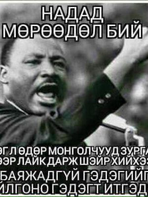 СОНИН ХАЧИН ТАНИН МЭДЭХҮЙН ЖИРГЭЭНҮҮД