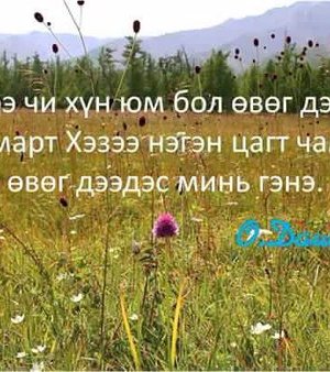 СОНИН ХАЧИН ТАНИН МЭДЭХҮЙН ЖИРГЭЭНҮҮД