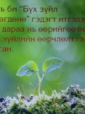 СОНИН ХАЧИН ТАНИН МЭДЭХҮЙН ЖИРГЭЭНҮҮД