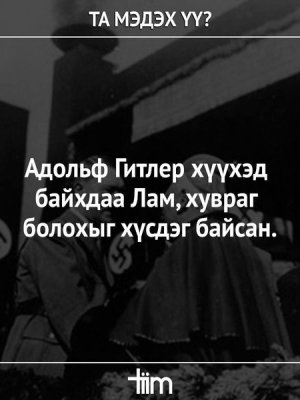 СОНИН ХАЧИН ТАНИН МЭДЭХҮЙН ЖИРГЭЭНҮҮД