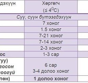 СОНИН ХАЧИН ТАНИН МЭДЭХҮЙН ЖИРГЭЭНҮҮД