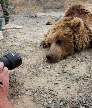 Мазаалай : Хэрвээ намайг Панда байсан бол аврах байсан уу ???