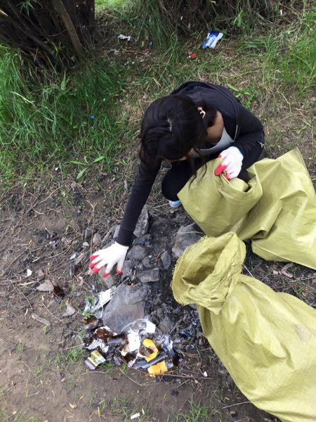 Туулын эргээс 80 шуудай хог цэвэрлэжээ