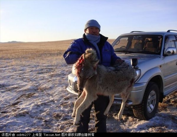 ХЯТАД САЙТААР “МОНГОЛ БОЛ ЖАРГАЛЫН ОРОН” ХЭМЭЭХ ХУУЛЬ БУС ҮЙЛДЛҮҮД ЦАЦАГДАЖ ЭХЭЛЛЭЭ
