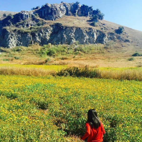 Гайхамшигтай байгалийн аялал фото