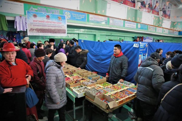 "ИНГЭНИЙ АЙРАГНЫ БАЯР"-ын ШИЛДГҮҮД ШАЛГАРЛАА