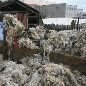 Чимээгүй үхэл буюу хөрсний бохирдолын мөрөөр /сурвалжлага/