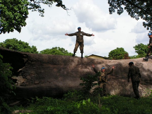 Б.Баярмагнай: НҮБ-ын энхийг сахиулагчдын олон улсын өдрийн мэнд хүргэе!